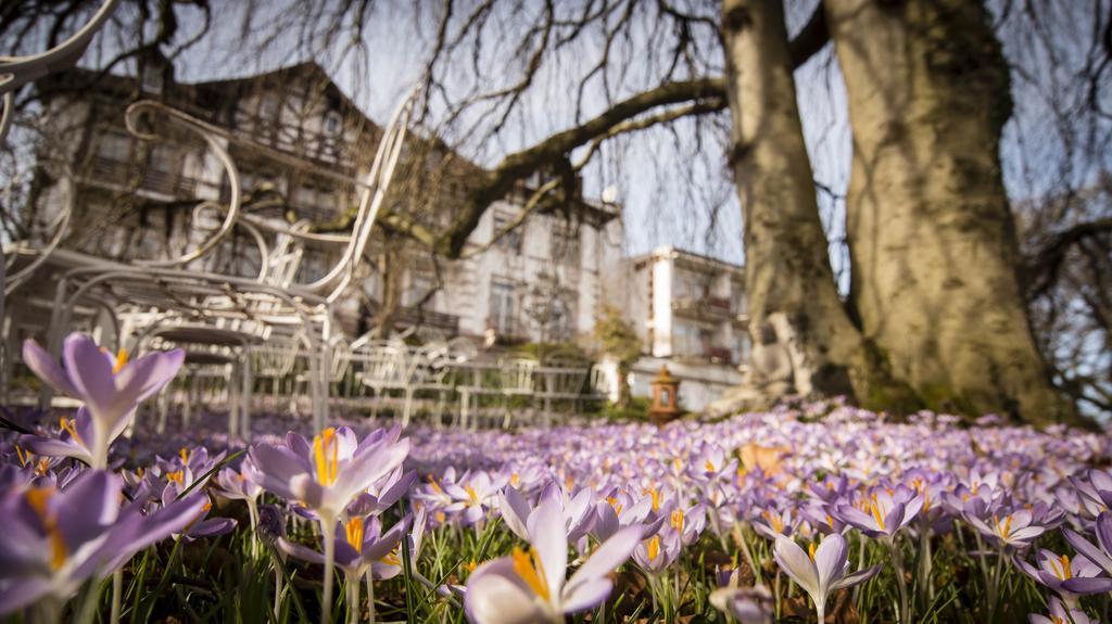 Hotel Tannenhof บาเดน-บาเดน ภายนอก รูปภาพ